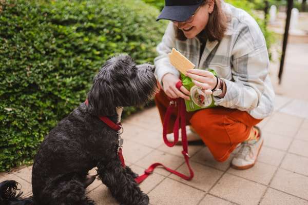 Környezettudatosság